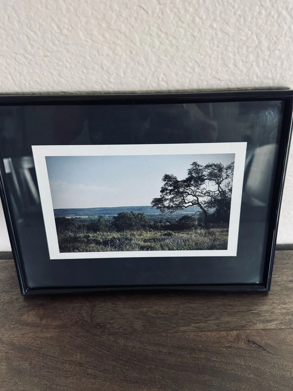 Texas Hill Country Landscape Framed Photo Art